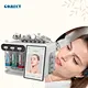 Portable Facial Machine